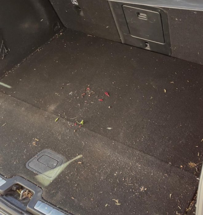 32d477b5-3231-41da-9fe9-7d965feb36b0